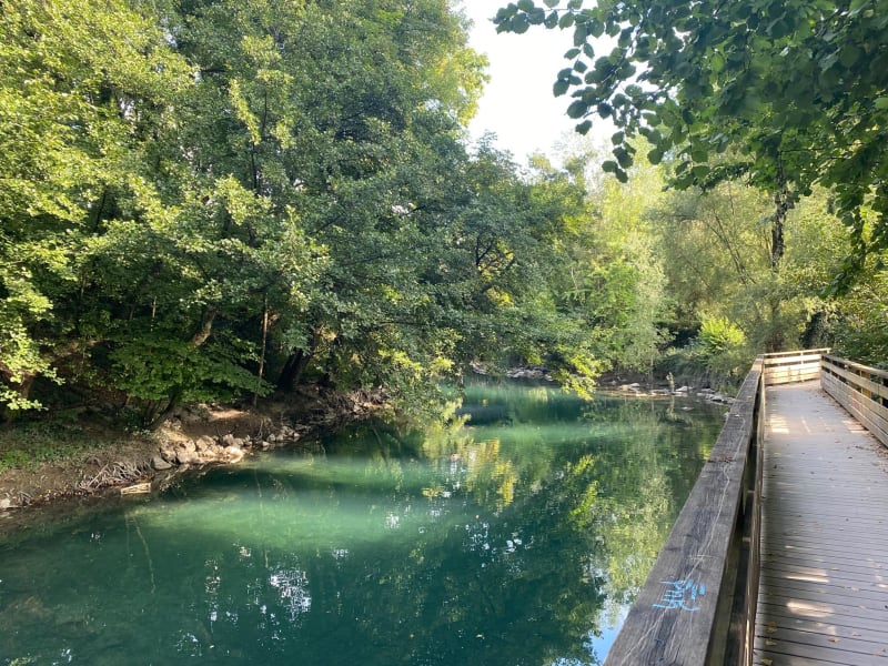 Annecy en een idyllische wandeling langs de Thiou - Annecy