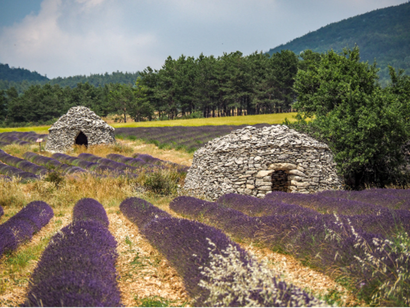 Du village des Bories à l'abbaye de Sénanque - Gordes