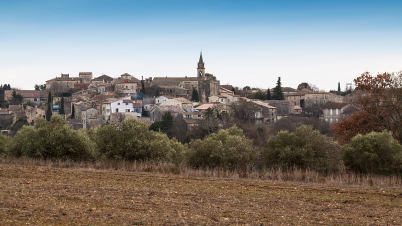 Entre vignes et garrigue autour de Blauzac - Blauzac