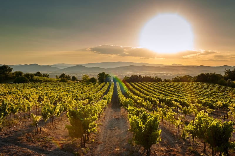 Petit tour à Lucenay, entre moulins et Beaujolais - Lucenay