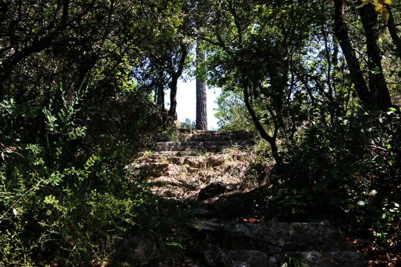 Clermont-l'Hérault : trip 5 étoiles dans le massif de la Ramasse - Clermont-l'Hérault