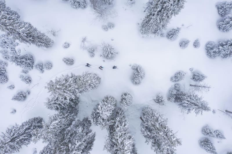 Virée sous les arbres blancs de la Côte d'Auran - Les Contamines-Monjoie
