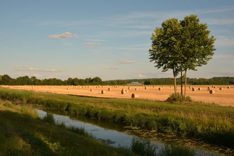 Petite promenade autour de Laneuveville-devant-Nancy - Laneuveville-devant-Nancy