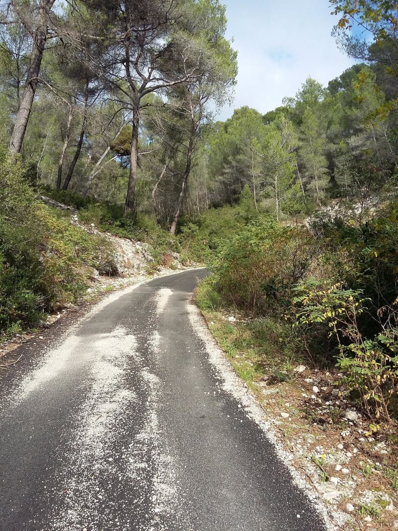 Escapade vivifiante sur les hauteurs de Ceyreste - Ceyreste