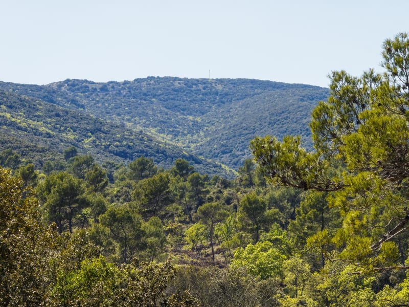 Au-dessus de Ceyreste, jusqu'au Montounier - Ceyreste, La Ciotat