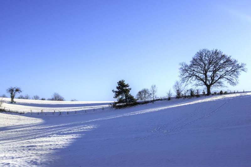Lac de Lamoura et virée dans les plaines blanches - Lamoura