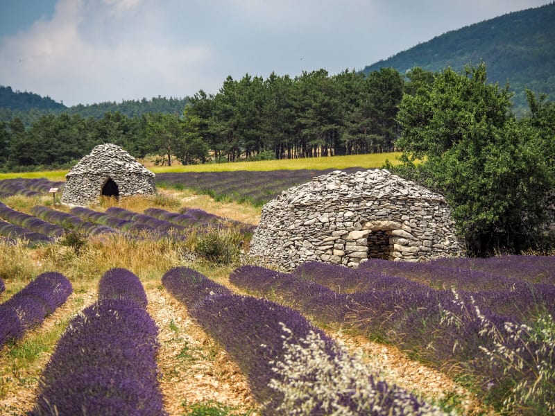 Eguilles, ses bories, sa garrigue, ses parfums - Eguilles