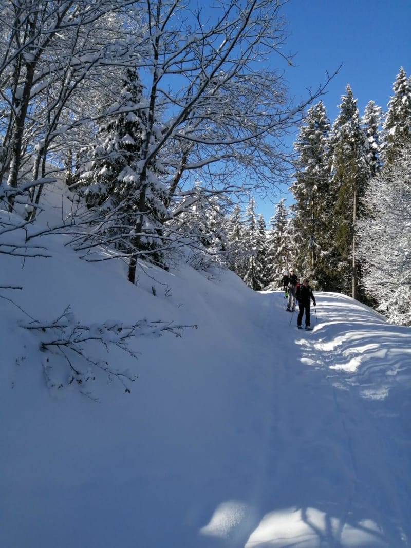 Balade le long du Drac Blanc, par-delà bois et torrent - Champoléon