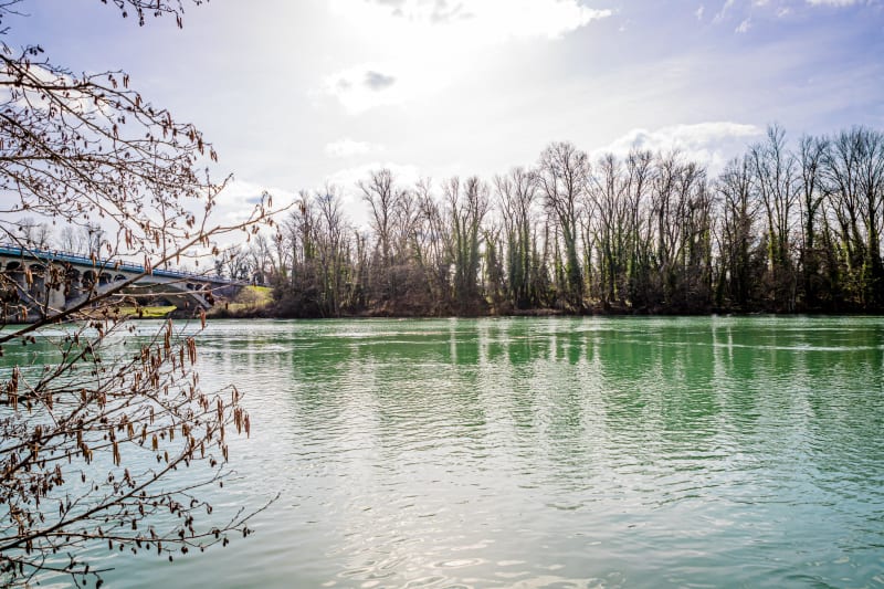 Tour de champs à Loyettes et bords de Rhône - Loyettes