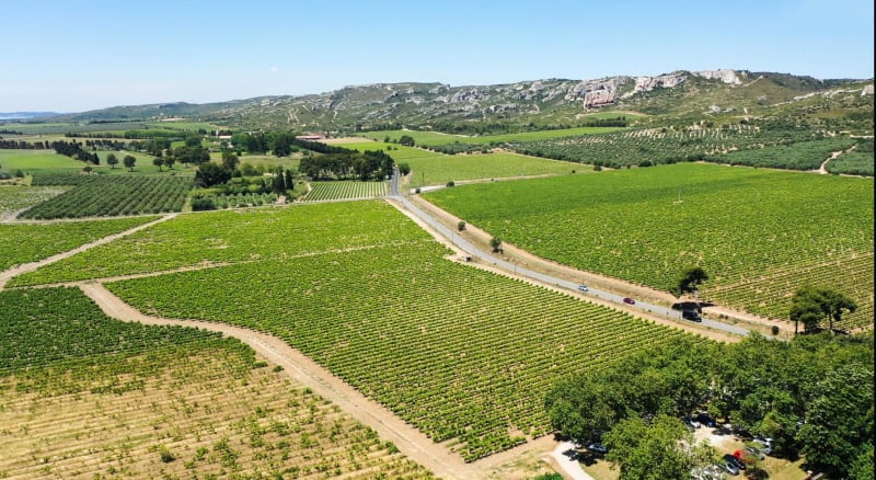 Lançon-Provence et rando aux senteurs provençales - Lançon-Provence