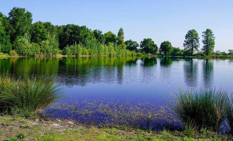 Aux portes du Médoc : étonnant tour de Parempuyre - Parempuyre