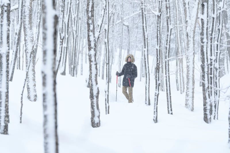 Sneeuwtocht naar Bois Barbu via Malaterre - Corrençon-en Vercors