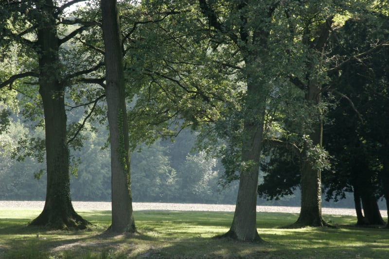 Forêt de Flosaille et parc de loisirs - Saint-Savin