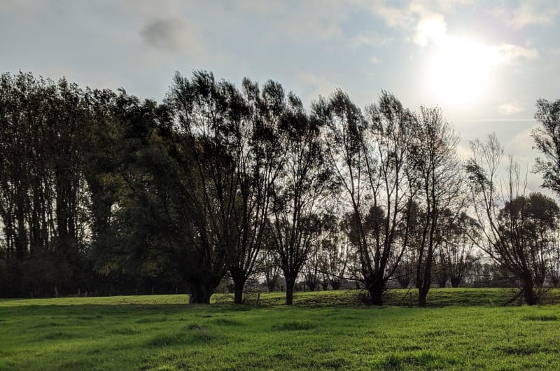 Sur les chemins de bon matin - Lille