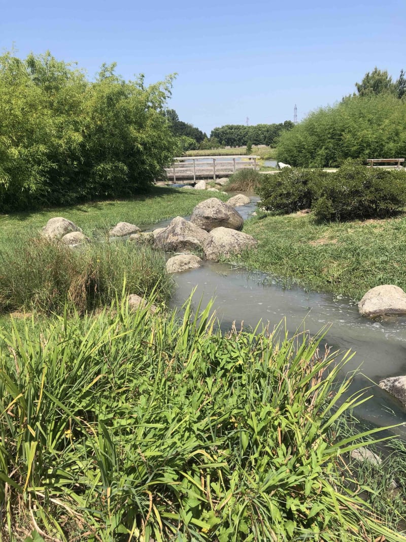 Va y avoir du sport au parc floral de Bordeaux-Lac ! - Bordeaux