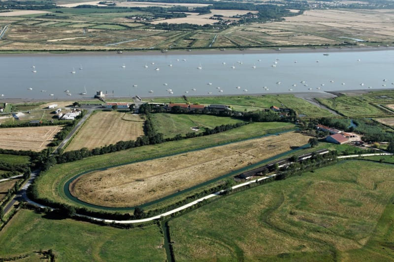 Saint-Laurent-de-la-Prée et les animaux des marais - Saint-Laurent-de-la-Prée