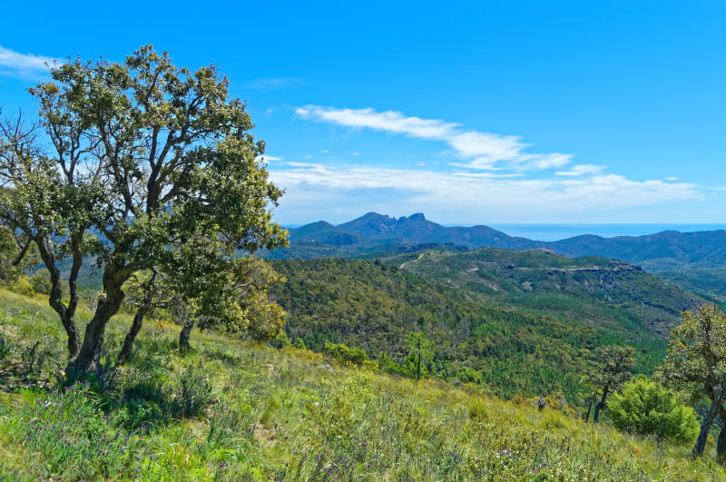 Ancienne mine de Garrot et aqueduc romain de l'Esterel - Montauroux