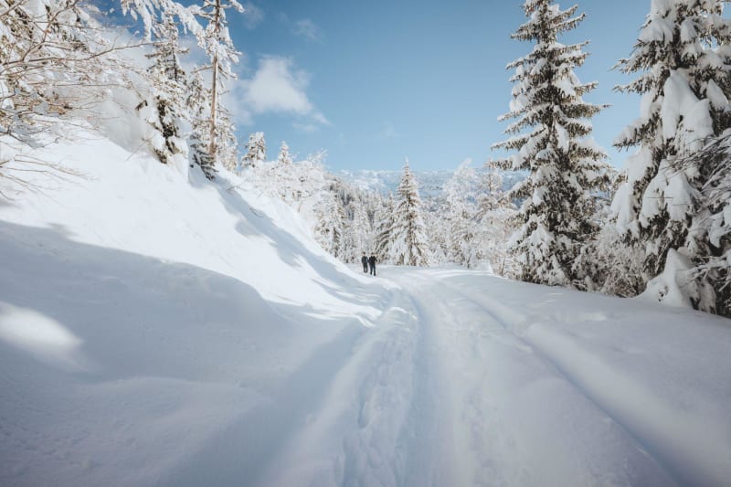 Le Pré Boussonnet entre Ain et Jura - Belleydoux