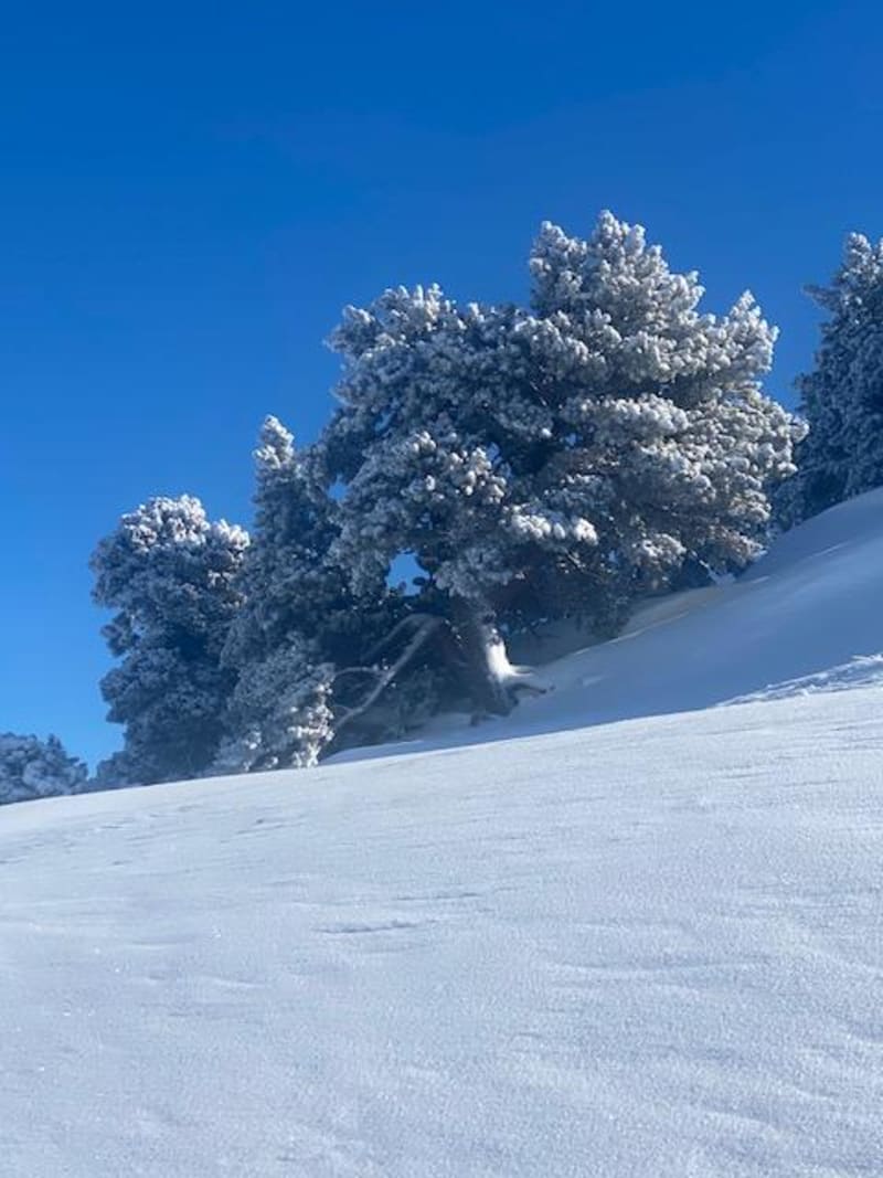 Pic de l'Arraing et Ariège à raquettes - Balacet