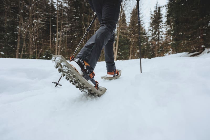 Randonnée enneigée dans le Bois d'Hermance - Megève