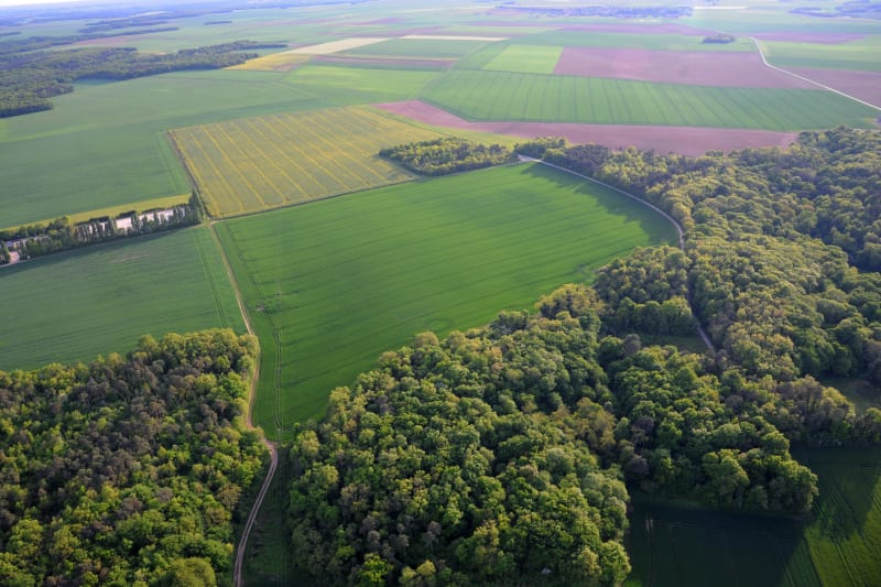 Beauvoir-de-Marc et balade à la fraîcheur des bois - Beauvoir-de-Marc