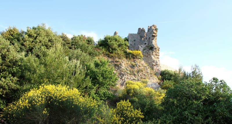 Rocbaron et la forêt varoise - Rocbaron