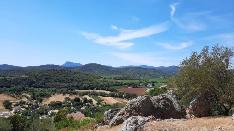 Pierrefeu-du-Var et déconnexion dans la nature - Pierrefeu-du-Var