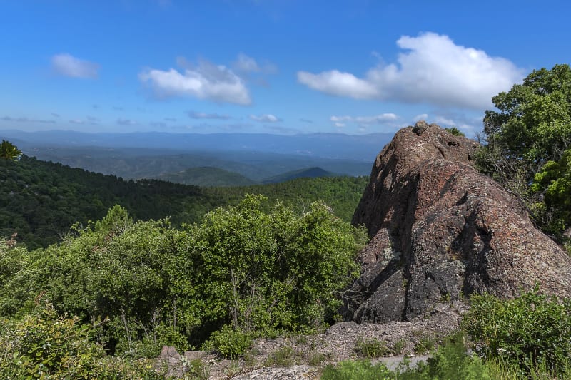Rando grande douceur à Mont Vinaigre - Fréjus