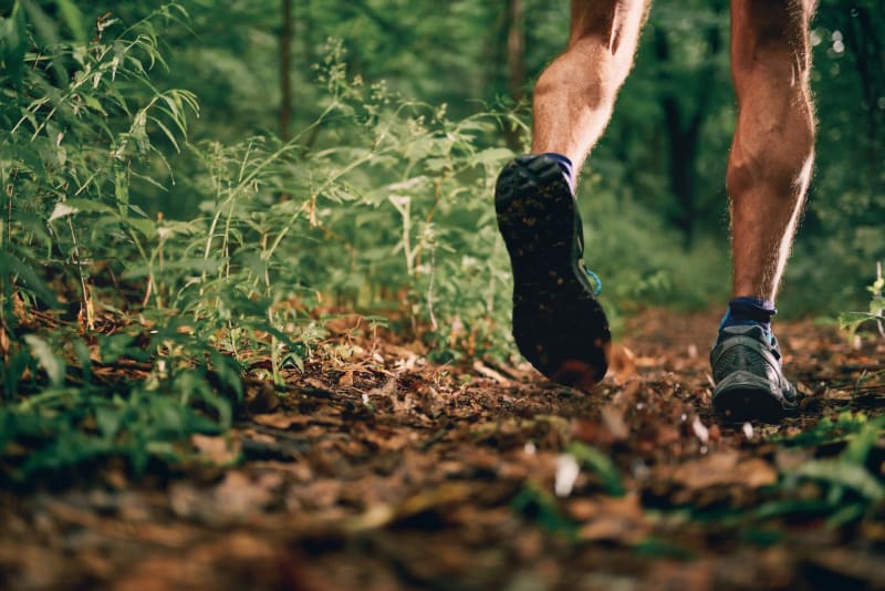 Rians, balade en forêt à la Grande Bastide - Rians