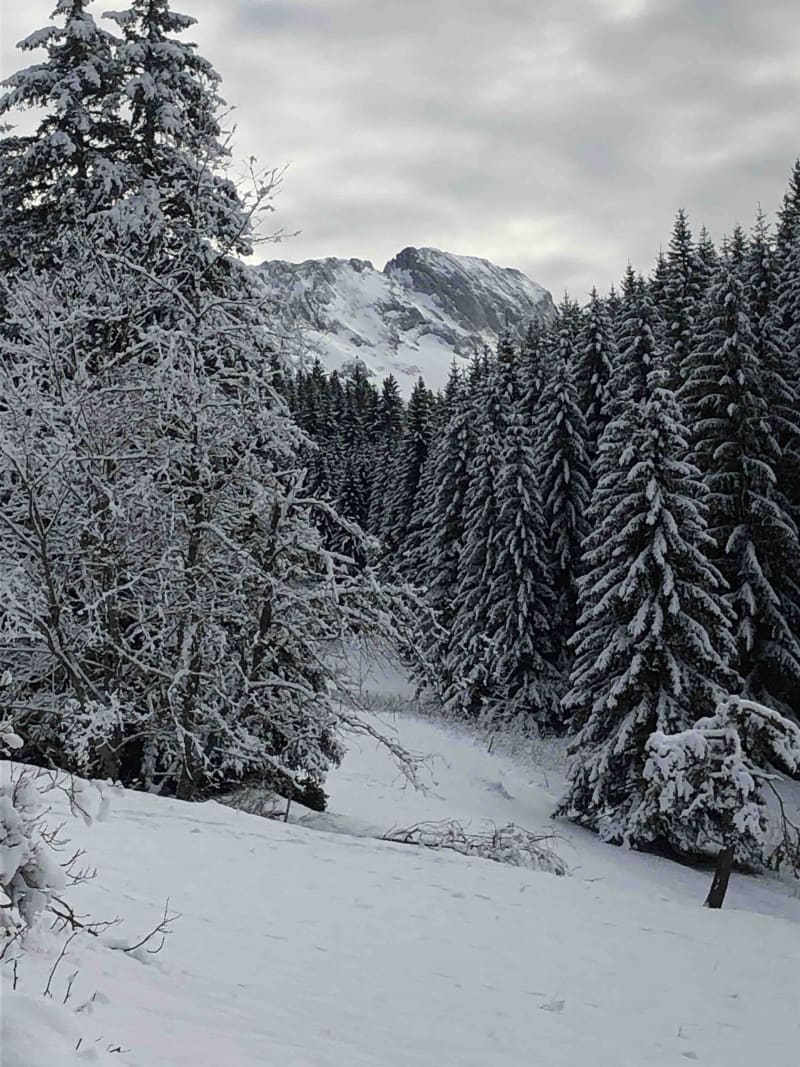 Snowhiking : Roybon par les cochettes - Villard-de-Lans