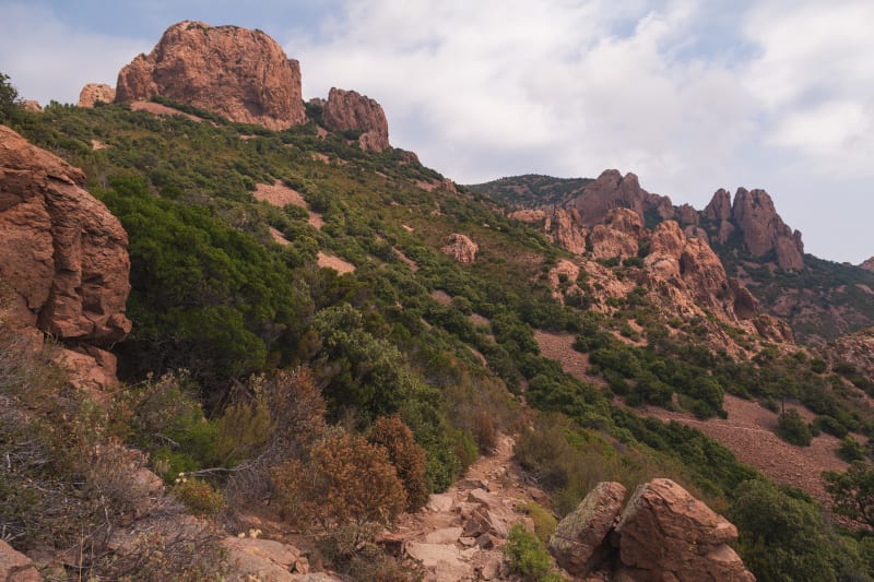 Col de Belle Barbe : sur les chemins du massif de l'Estérel - Saint-Raphaël (Agay)