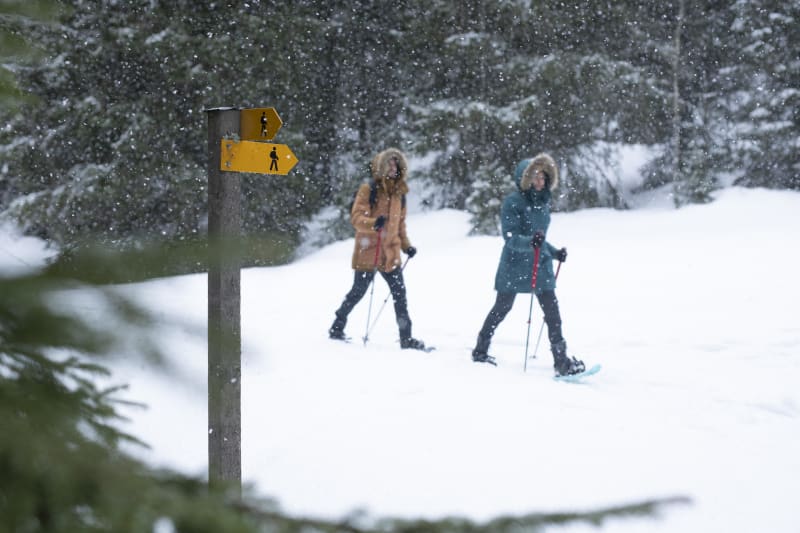 Besneeuwde Puy Tour - Superdévoluy