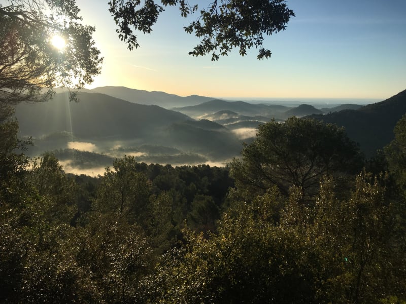 Micro-aventure au cœur des gorges du Blavet - Bagnols-en-Forêt