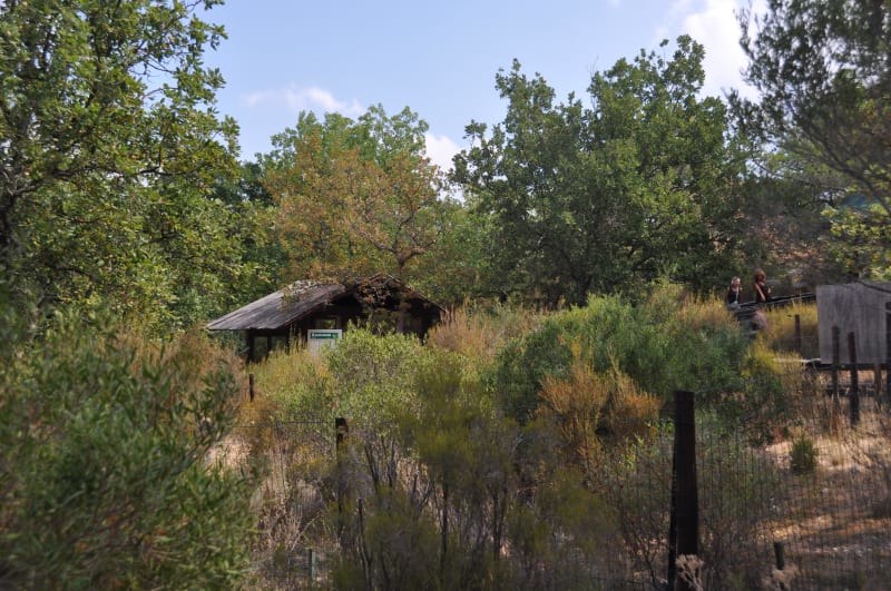 Gonfaron et micro-aventure au pied du massif des Maures - Gonfaron