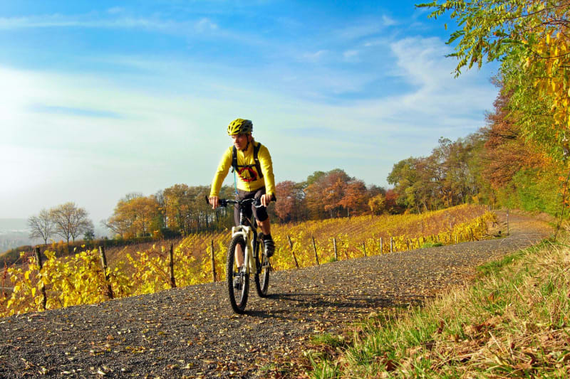 Clos des Taulelles à VTT depuis Saint-Privat-de-Champclos - Saint-Privat-de-Champclos