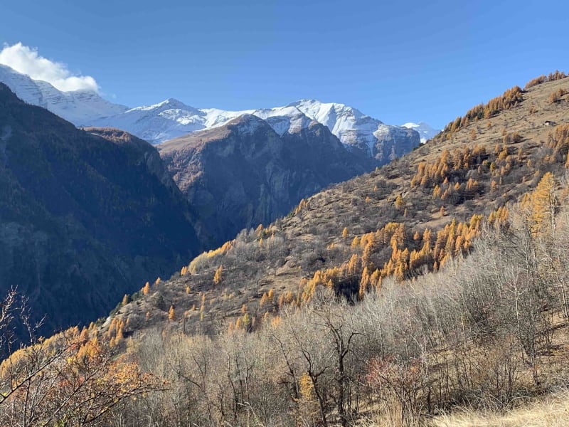 Cols et panoramas majestueux des Aujards - Freissinières