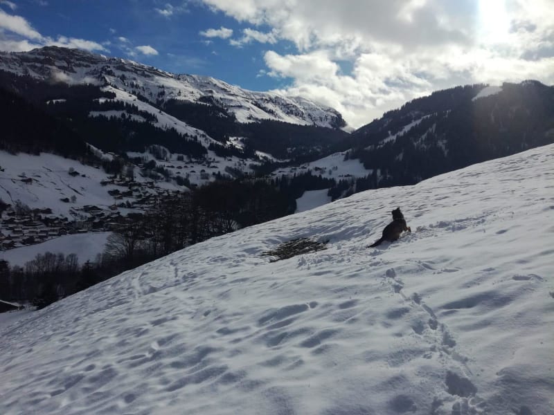 Liaison Meix Musy - Gardot, un parcours tout Doubs - Villers-le-Lac