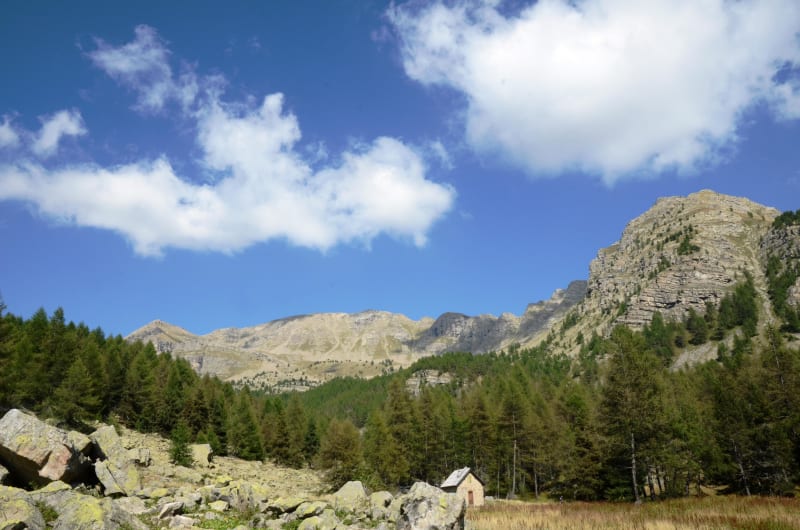 Parenthèse de douceur au fil du ruisseau de Sanguinière - Entraunes