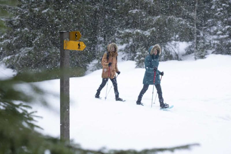 Chemin des Neiges découverte du Chastellan - Péone