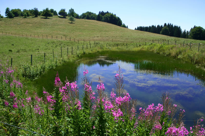 Sentier de la Sauge - Monnetier-Mornex