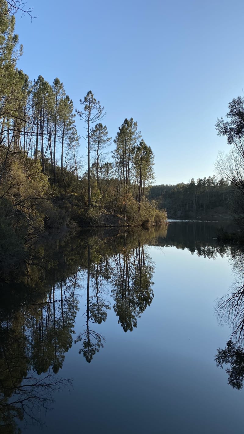 Parenthèse de douceur autour de lac de Rioutard - Saint-Paul-en-Forêt