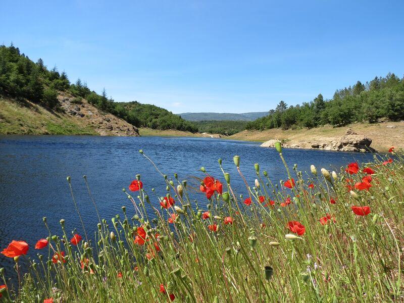 Het meer van Méaulx en de vallei van Gourre - Saint-Paul-en-Forêt