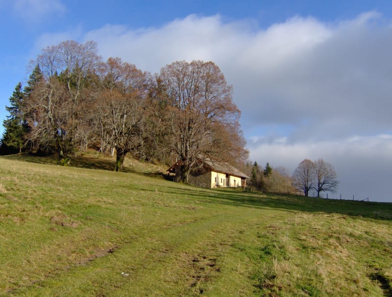 Alpage de l'Iselet - Cruseilles