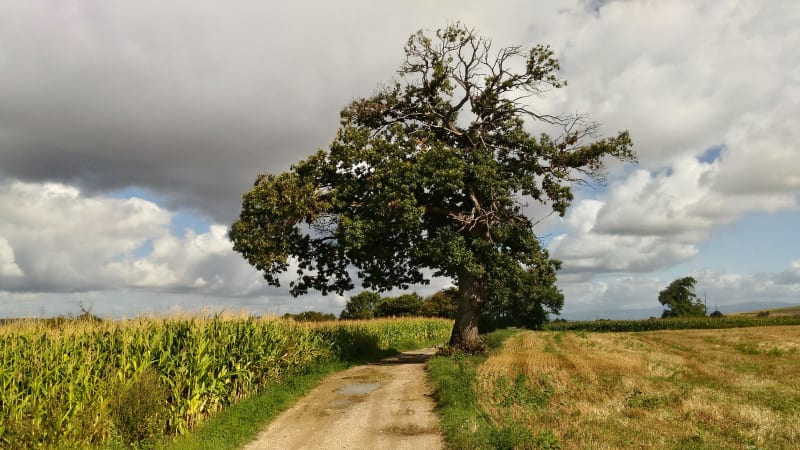 De Rochetoirin à Saint-Jean-de-Soudain par les combes - Rochetoirin