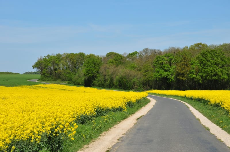 Châteauvilain et escapade dans une nature pas vilaine - Châteauvilain