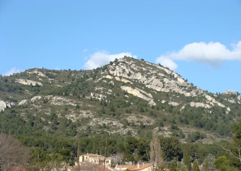 Aubagne : là-haut sur le Ruissatel, une colline chère à Pagnol ! - Aubagne