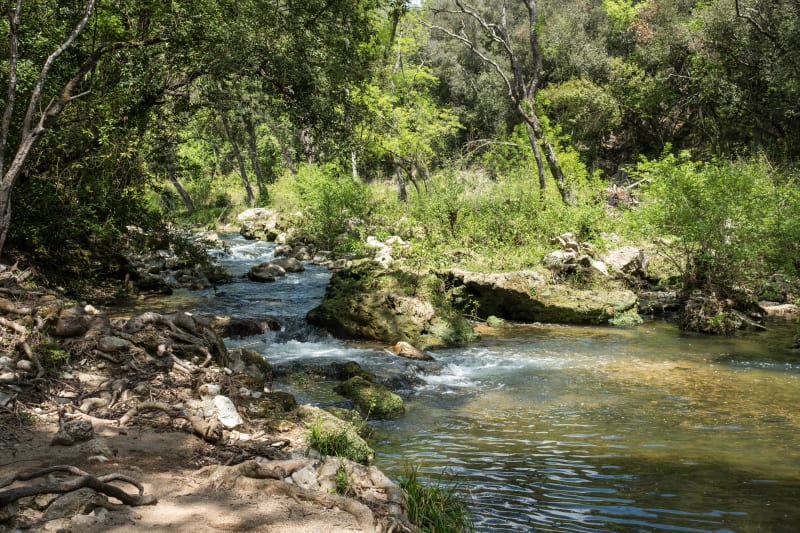 Valbonne : rando forestière au doux son de la Brague - Valbonne