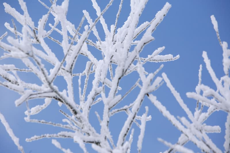 Winterbeklimming naar de top van Auron - Auron