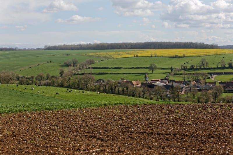 Emprunter le Passage qui mène à la campagne - Le Passage
