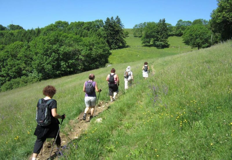 GR® 65 Saint-Jacques-de-Compostelle - Saint-Julien-en-Genevois - Andilly - Saint-Julien-en-Genevois